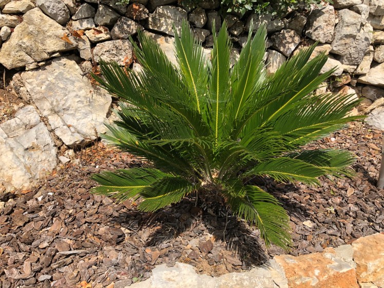 71CAB3B6-95DC-41DD-BCE8-B98D4487ACC0